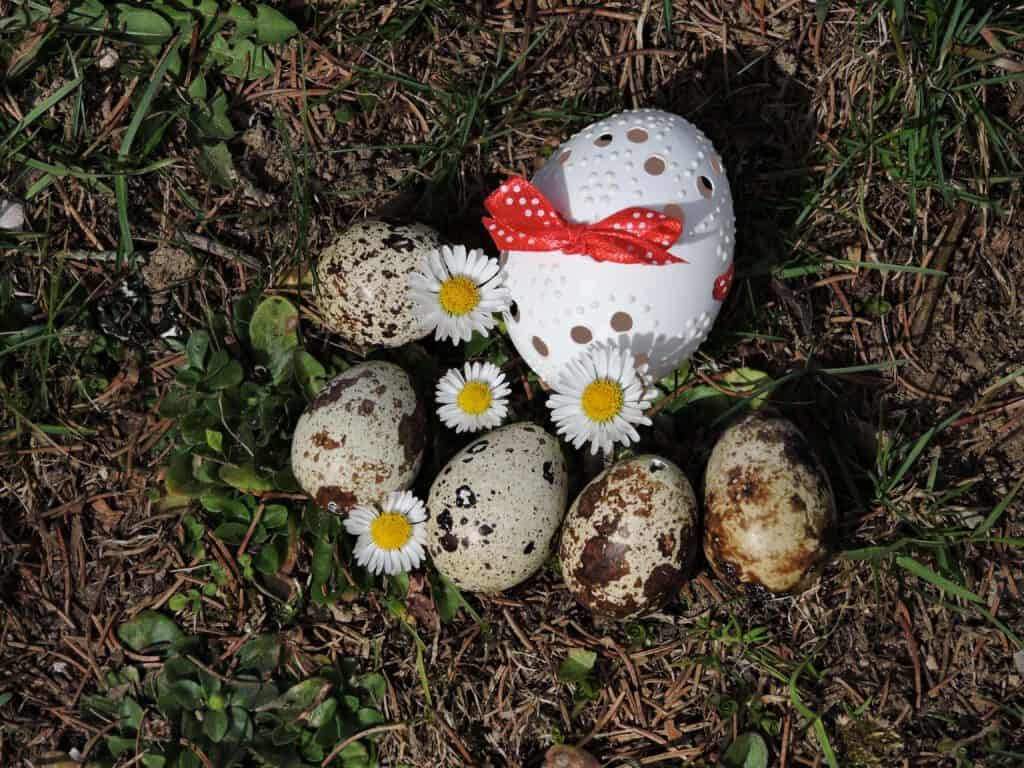 Ostereier mit Gänseblümchen im Vogelnest