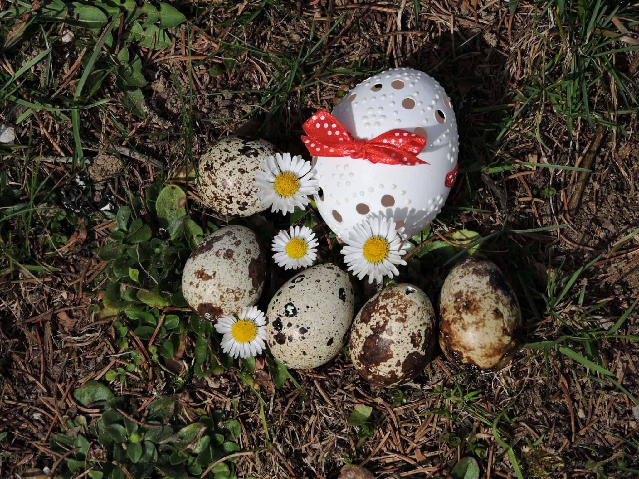 Ostereier mit Gänseblümchen im Vogelnest